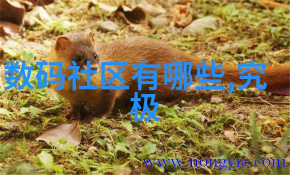 住建部推动城市发展与民生改善的关键部门