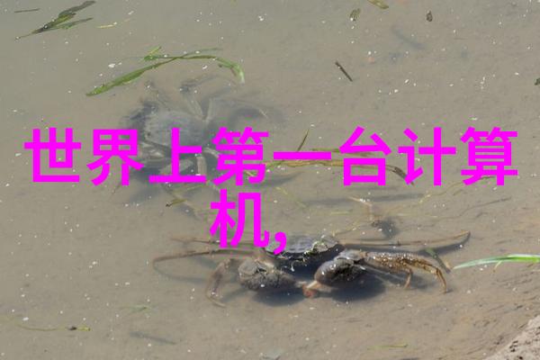 如果人类失去眼睛未来是否有可能通过植入式或外部设备实现类似于机械眼效果