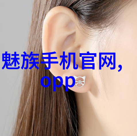 标准网构建未来信息基础设施的理论与实践
