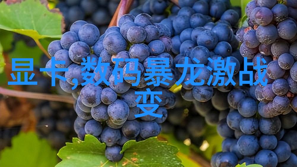 筛选机 - 精准分离高效筛选机的应用与未来