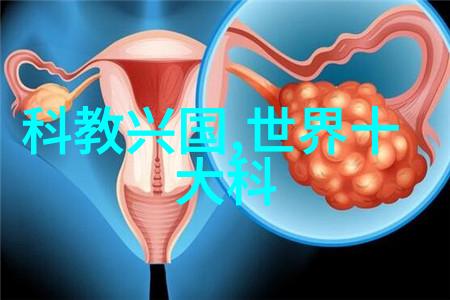 dn50金属环矩鞍填料hetp-DN50金属环矩形鞍型填料系统设计与安装指南