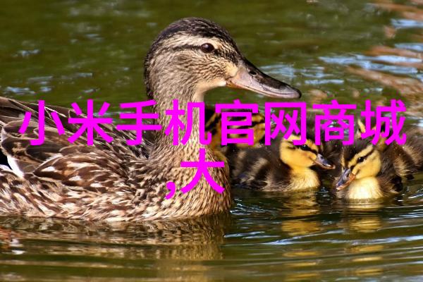 丝网波纹填料织梦细腻的艺术之韵