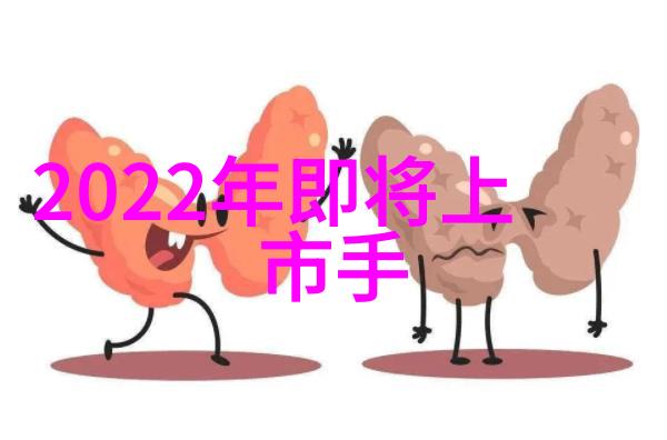 如何正确维护卫生阀以延长其使用寿命