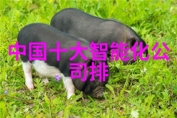 西方豪门的秘密聚集地揭秘第一会所背后的传奇故事