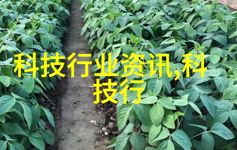 河道清淤我家旁边的河沟再也不臭烂了