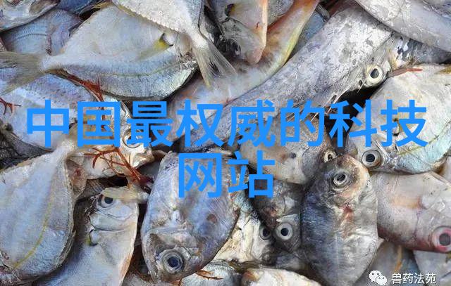 主题我是如何在yazhousetu26uuu这个神奇的世界里发现自我的