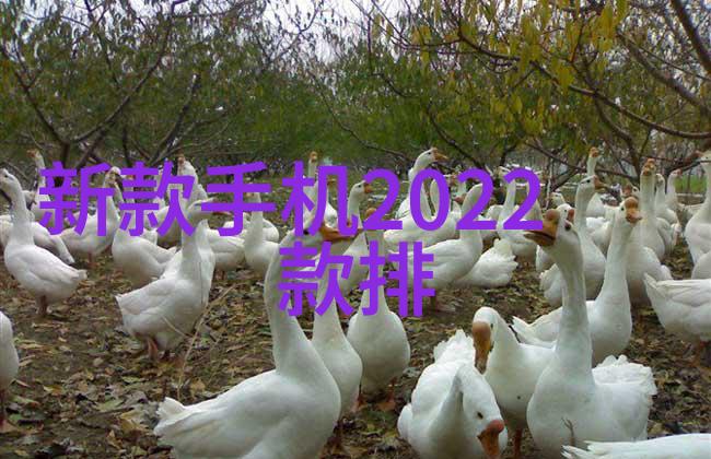 主题我来告诉你那些pvc管材的型号和口径吧