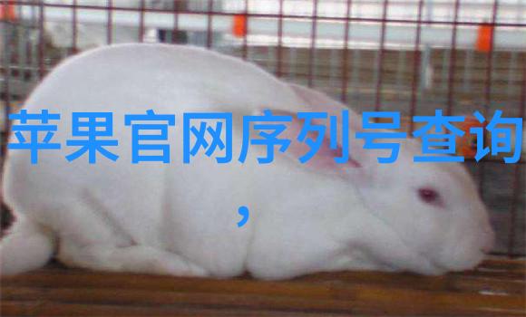 PE排水管系统设计与安装全解析保证家庭居住环境的干净舒适