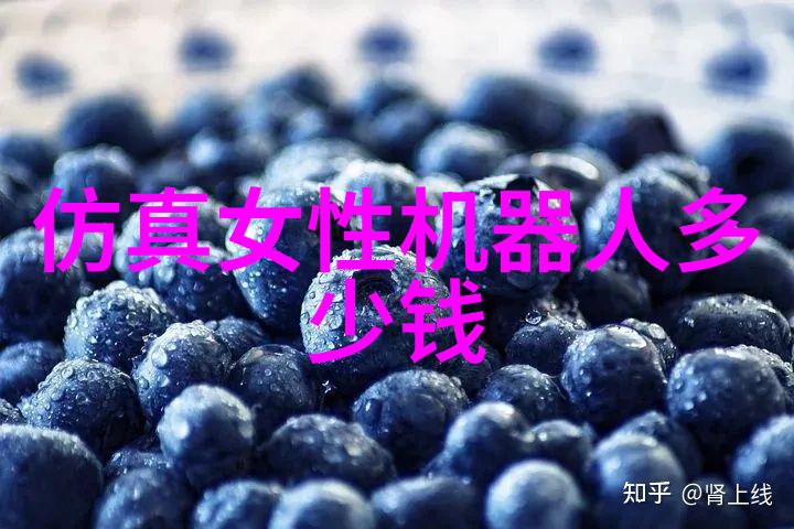 探索T型波纹填料结构优化与应用前景