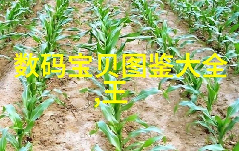 热精馏和冷精馏对比适用场景与技术差异