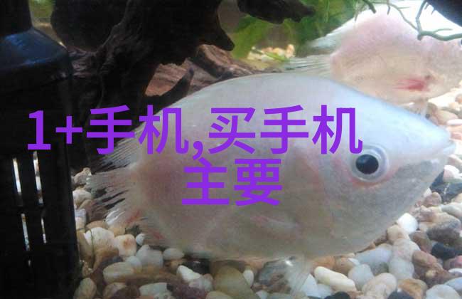 老师迈开腿让尝尝你的森林探索自然的奇妙旅程