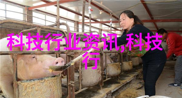 长明灯下的岁月琐事