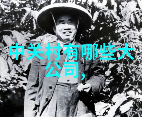 精灵的森林-重回童话精灵森2的魔法世界