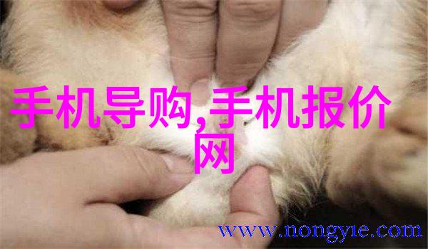 厨房隔断装修效果图美丽厨房隔断装饰设计