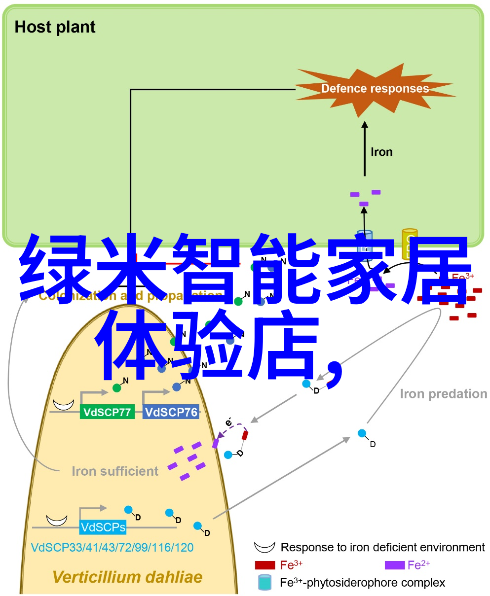 蒸汽之源古董机器的秘密动力