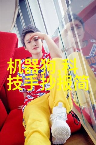 尘封岁月的回响揭开除尘骨架的秘密