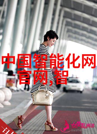 系统之心DCS的秘密领域