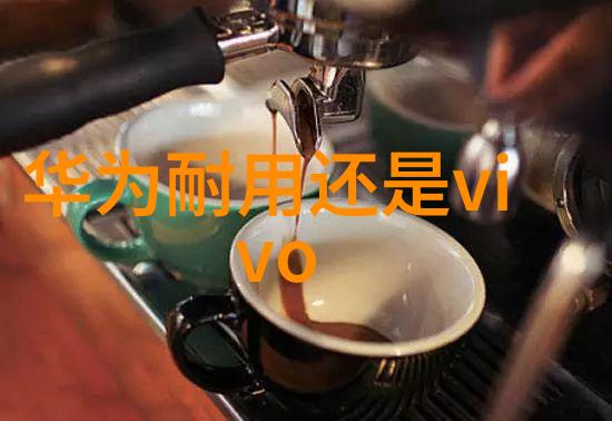 北京等保测评公司都有哪些-京城守护者揭秘北京的等保测评公司