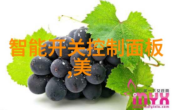 不锈钢类型对比分析性能参数与成本预算