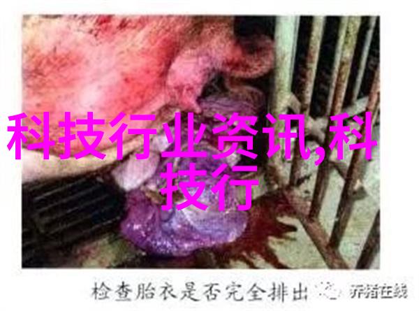 当工业设计遇上视觉艺术会怎麼样
