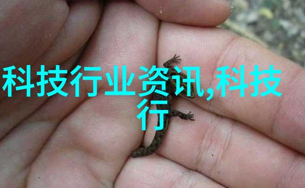 二手杀菌锅转让高效清洁厨房的绿色选择