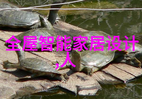 水质检测仪指标数值背后的谜团这些数字能揭示出什么秘密
