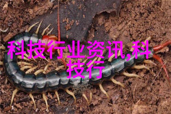 清澈水面下的污染秘密