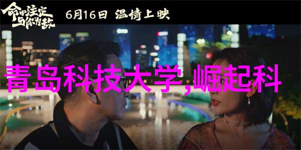 兄弟装饰是什么让他们的家园充满了温馨与和谐
