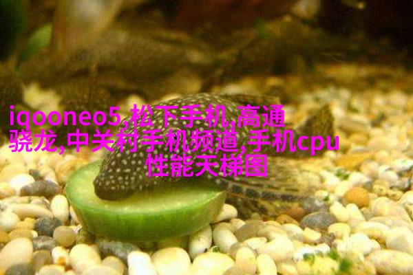 “鲁豫恋”河南癌症女孩与山东小伙拍婚纱照