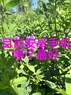 如何选择适合主卧的装修风格