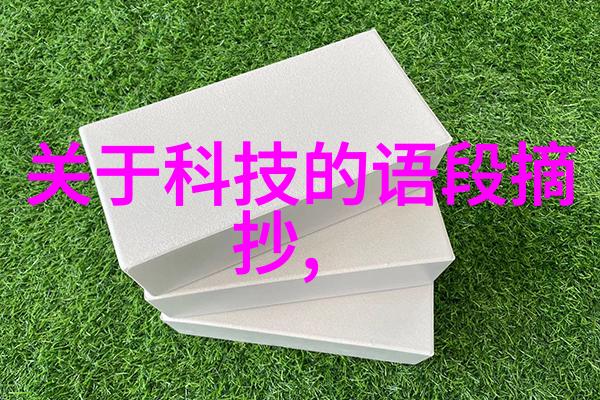 解读R是什么意思啊一种跨学科探索的尝试