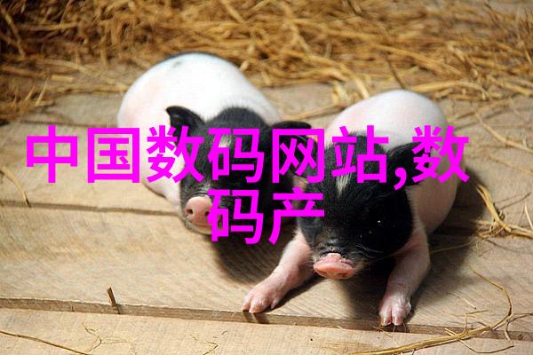 上半年工作总结报告范文我这半年的忙碌与成长从追赶到领跑的故事