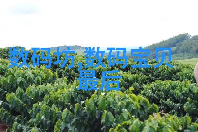 深藏于心的父爱一篇关于父女情深的探究
