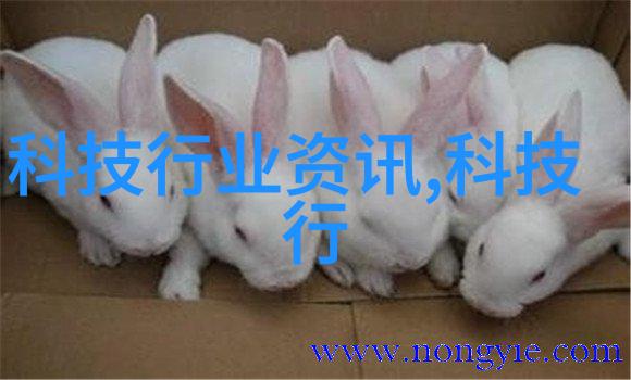 电子废墟中的新生回收设备的奇迹之旅