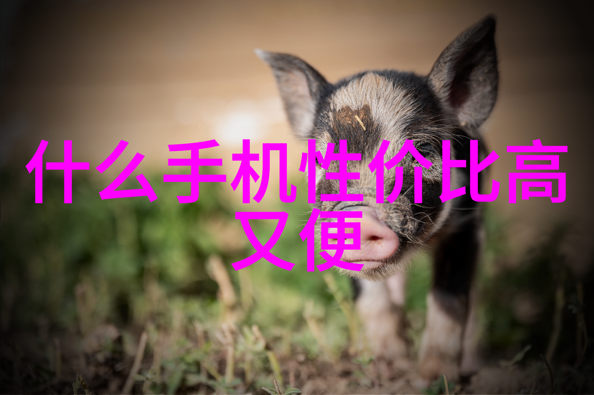 化工产品-从分子到物品探索化工产品的奇妙世界