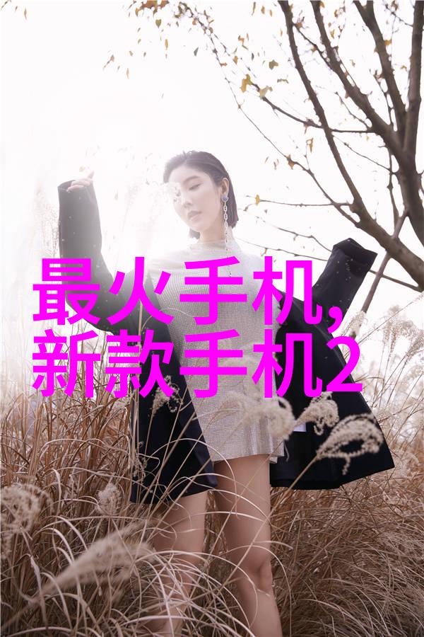 钢铁与翩然工业废气净化器的奇迹