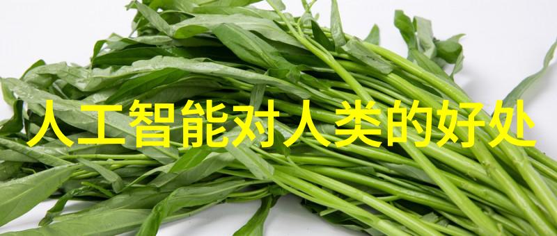 生活小贴士我是如何选对50 75 110水管尺寸的