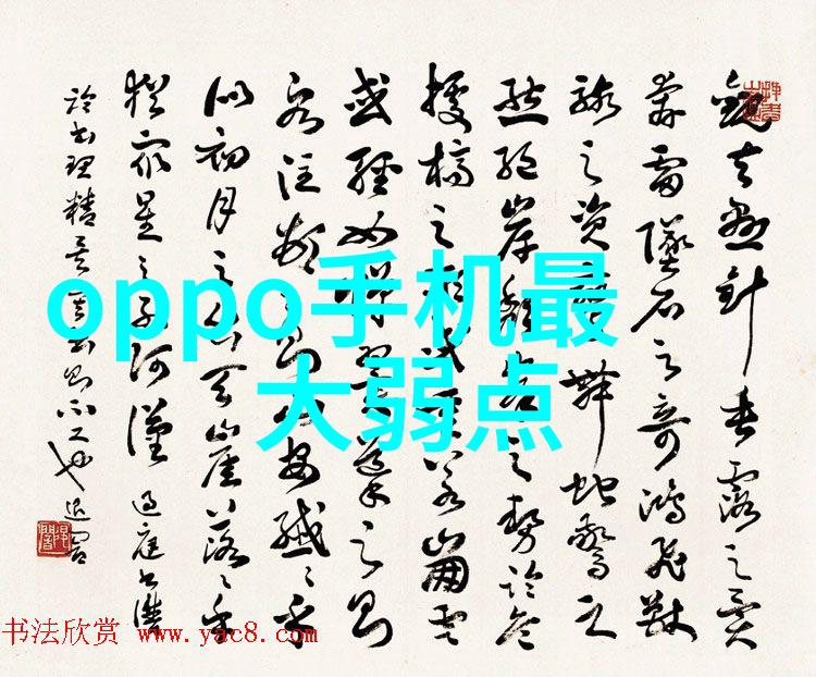 在现代化的食品加工厂中如何确保大型纯净水生产线设备的可靠性和清洁性