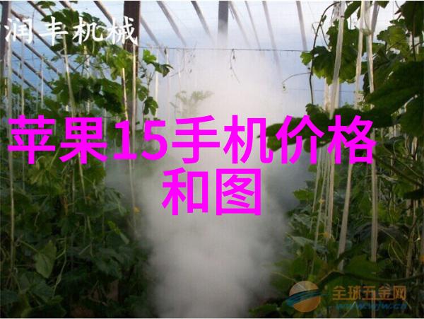 书柜的故事守护知识与记忆的静默守望者