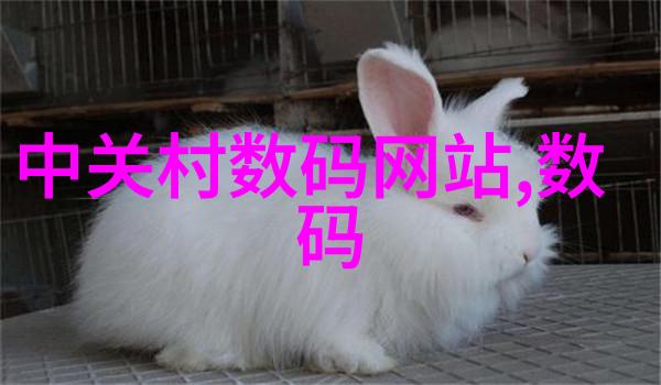 现代简约装修效果图片大全时尚轻奢的生活艺术展示
