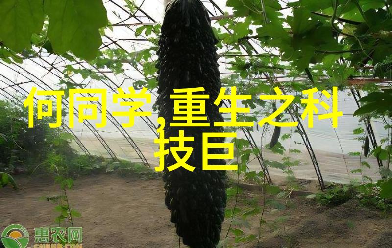 欢乐空间心灵的避风港