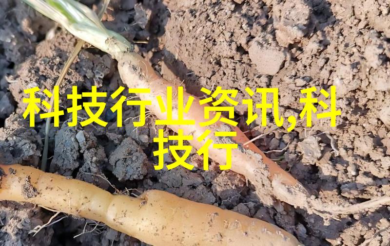 大型微波干燥设备高效节能的食品工业用途