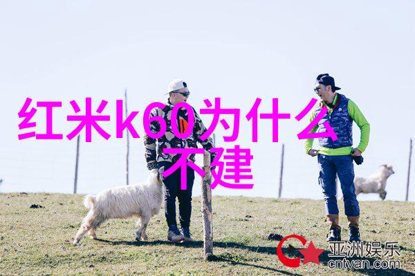 生产PE管材厂家的技术与管理策略研究