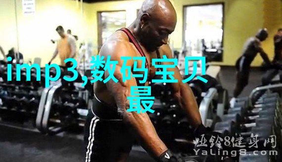 不锈钢矩鞍环填料标准我来告诉你确保安全的秘诀不锈钢矩鞍环填料的选择与使用