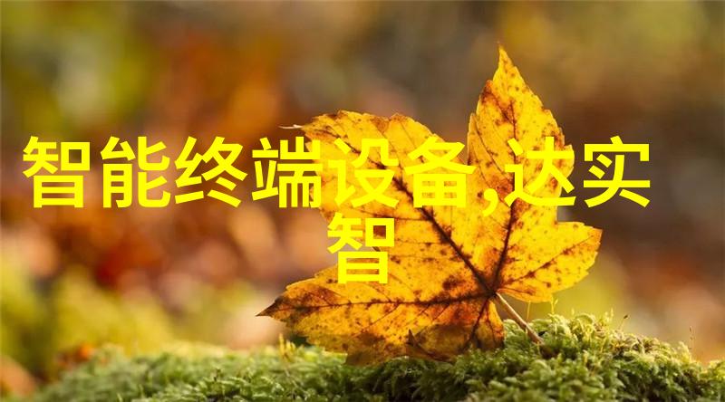 废气处理措施有哪些-清新空气的守护者探索废气处理技术的多样性与进步