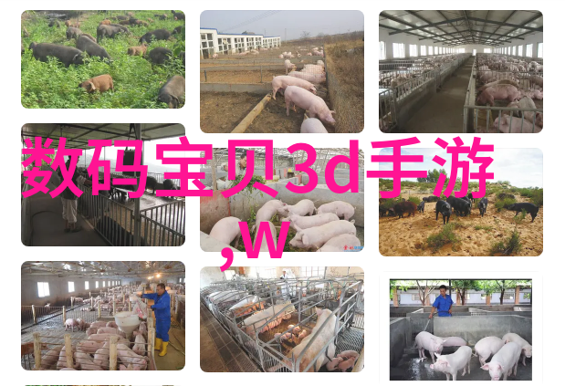 报告中数据分析部分该如何进行优化
