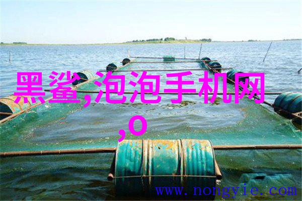 清洁之谜揭开生产消毒液的神秘面纱