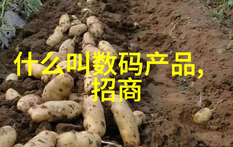 PE管子厂家专业生产高品质聚乙烯管材