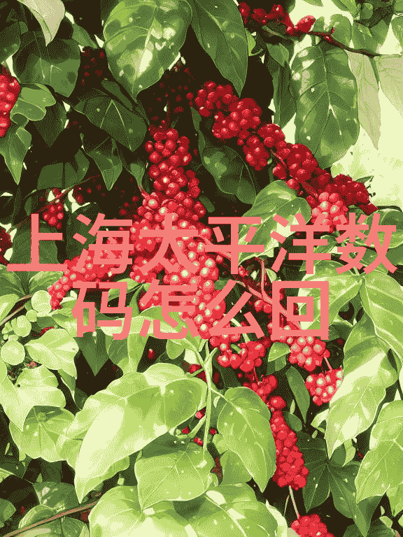 水分的离去探秘脱水机的奥秘与构造