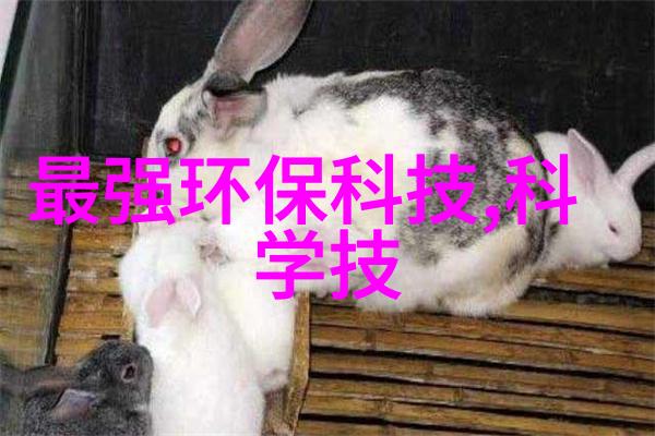 大型自来水厂设备生产厂家我这可是专门做水处理器的